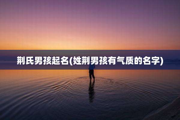 荆氏男孩起名(姓荆男孩有气质的名字)