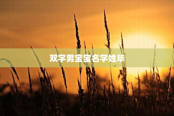 双字男宝宝名字姓毕