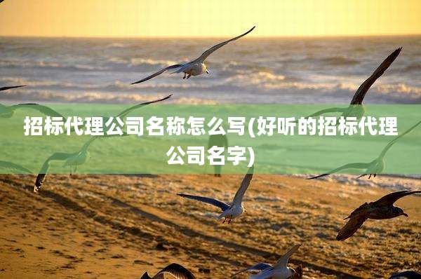 招标代理公司名称怎么写(好听的招标代理公司名字)