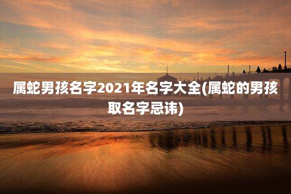 属蛇男孩名字2021年名字大全(属蛇的男孩取名字忌讳)