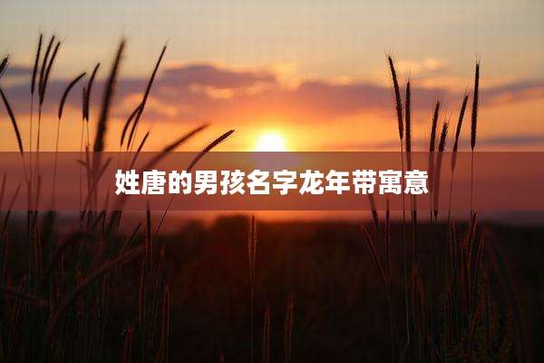 姓唐的男孩名字龙年带寓意