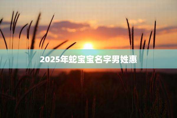 2025年蛇宝宝名字男姓惠