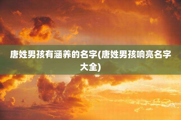 唐姓男孩有涵养的名字(唐姓男孩响亮名字大全)