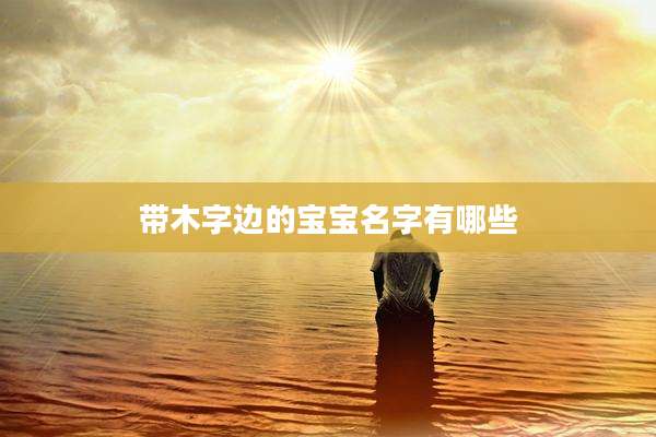 带木字边的宝宝名字有哪些