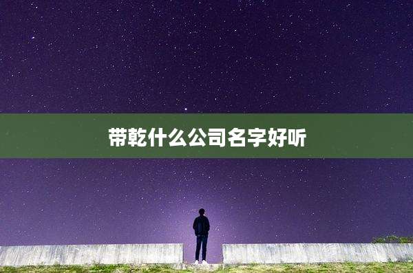 带乾什么公司名字好听