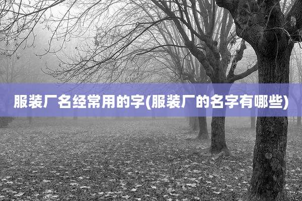 服装厂名经常用的字(服装厂的名字有哪些)