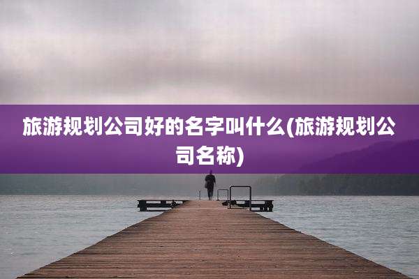 旅游规划公司好的名字叫什么(旅游规划公司名称)