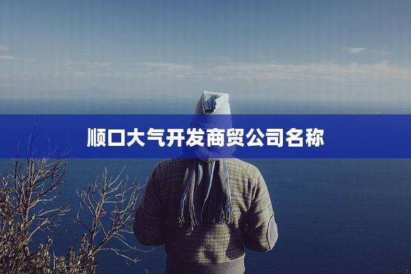 顺口大气开发商贸公司名称
