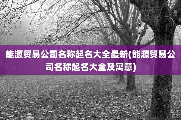 能源贸易公司名称起名大全最新(能源贸易公司名称起名大全及寓意)