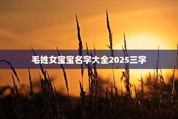 毛姓女宝宝名字大全2025三字