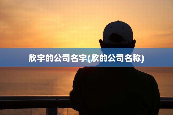 欣字的公司名字(欣的公司名称)