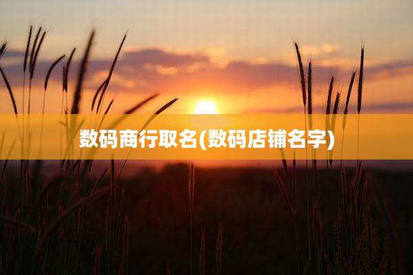 数码商行取名(数码店铺名字)