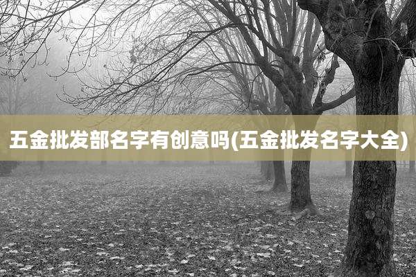 五金批发部名字有创意吗(五金批发名字大全)