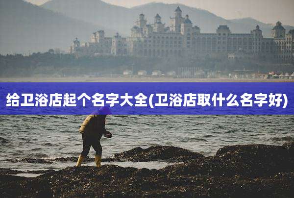 给卫浴店起个名字大全(卫浴店取什么名字好)