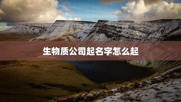 生物质公司起名字怎么起