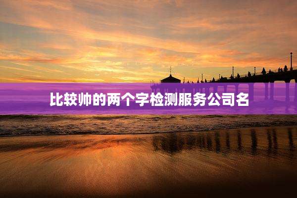 比较帅的两个字检测服务公司名