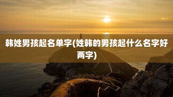 韩姓男孩起名单字(姓韩的男孩起什么名字好两字)