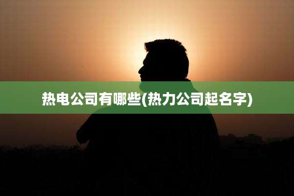 热电公司有哪些(热力公司起名字)