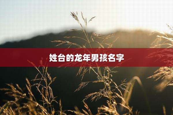 姓台的龙年男孩名字
