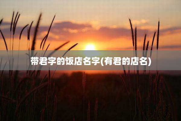 带君字的饭店名字(有君的店名)