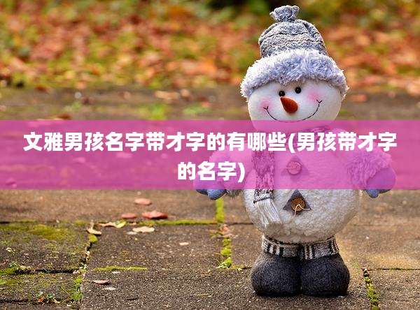 文雅男孩名字带才字的有哪些(男孩带才字的名字)