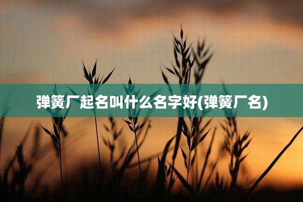 弹簧厂起名叫什么名字好(弹簧厂名)