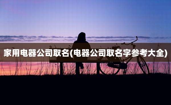 家用电器公司取名(电器公司取名字参考大全)