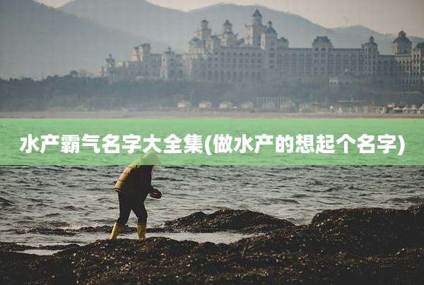 水产霸气名字大全集(做水产的想起个名字)