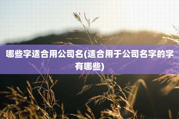 哪些字适合用公司名(适合用于公司名字的字有哪些)