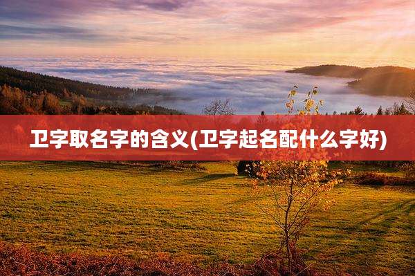 卫字取名字的含义(卫字起名配什么字好)