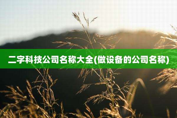 二字科技公司名称大全(做设备的公司名称)