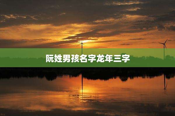 阮姓男孩名字龙年三字