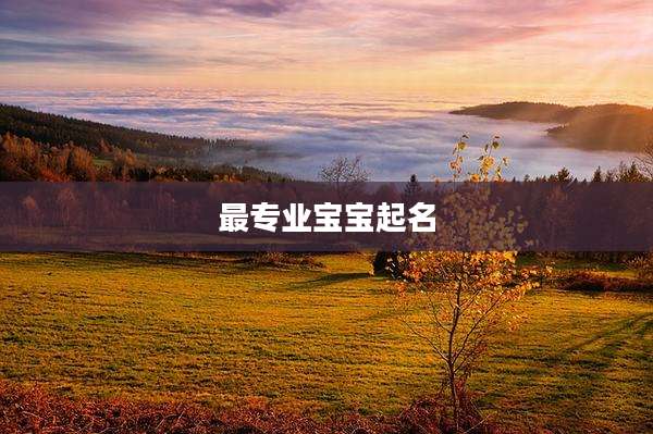 最专业宝宝起名