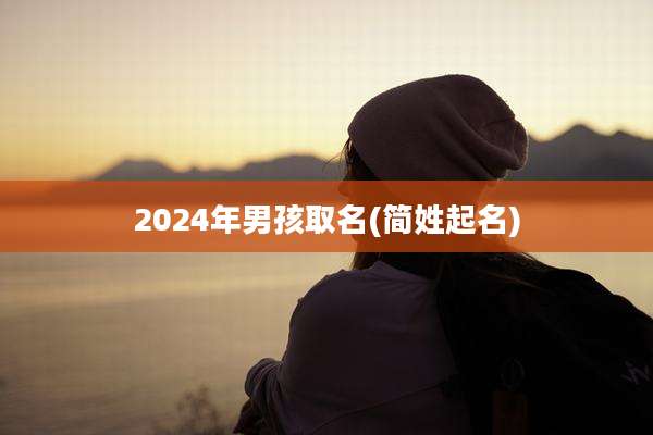2024年男孩取名(简姓起名)