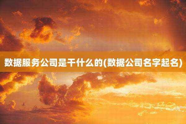 数据服务公司是干什么的(数据公司名字起名)