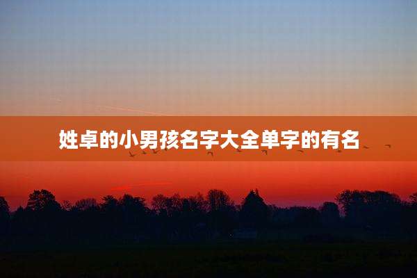 姓卓的小男孩名字大全单字的有名