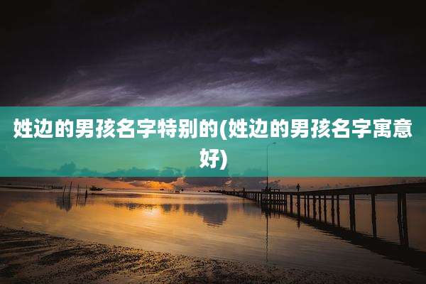 姓边的男孩名字特别的(姓边的男孩名字寓意好)