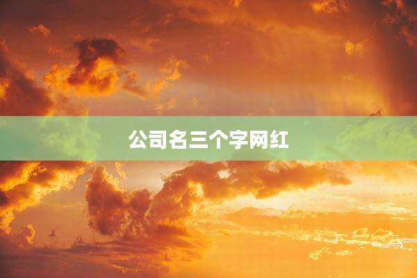 公司名三个字网红