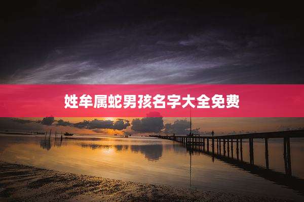 姓牟属蛇男孩名字大全免费