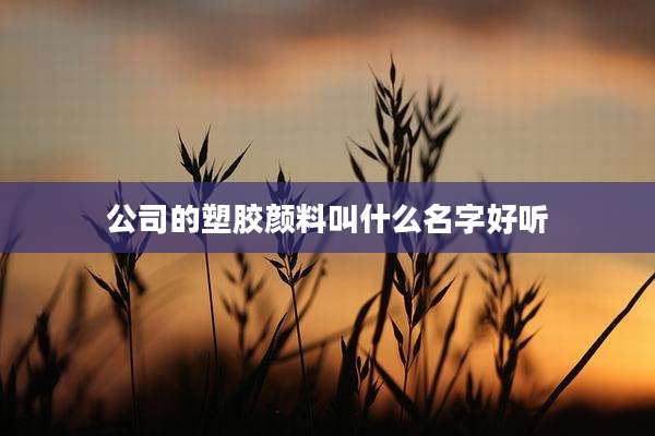 公司的塑胶颜料叫什么名字好听