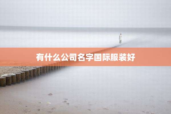 有什么公司名字国际服装好