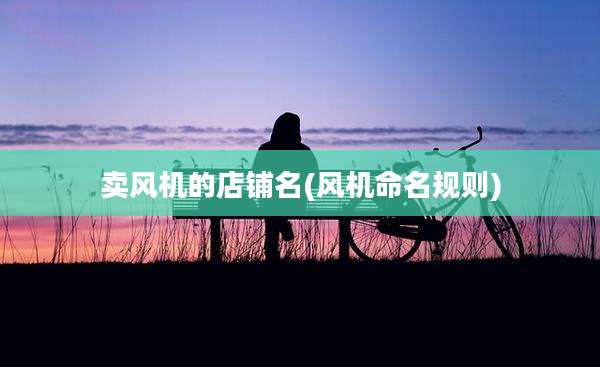 卖风机的店铺名(风机命名规则)