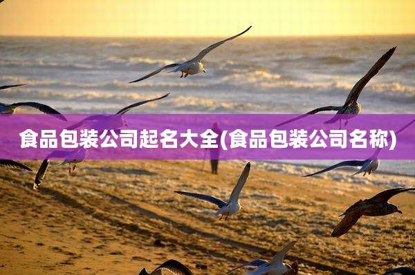 食品包装公司起名大全(食品包装公司名称)