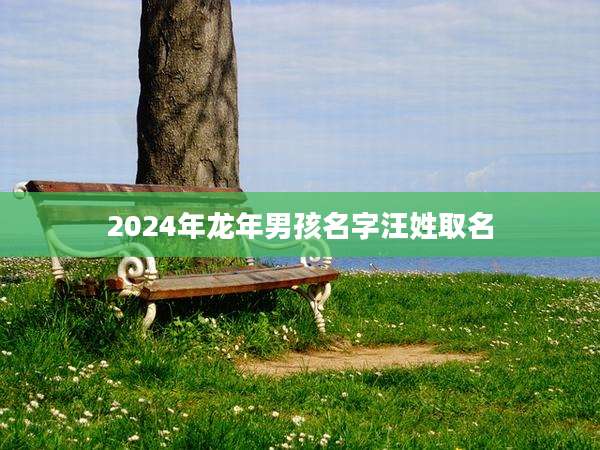 2024年龙年男孩名字汪姓取名