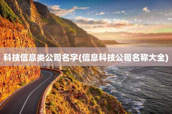 科技信息类公司名字(信息科技公司名称大全)