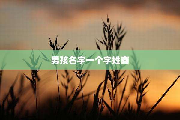 男孩名字一个字姓商