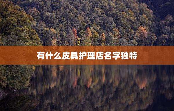 有什么皮具护理店名字独特