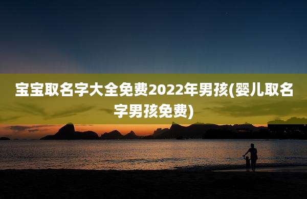 宝宝取名字大全免费2022年男孩(婴儿取名字男孩免费)