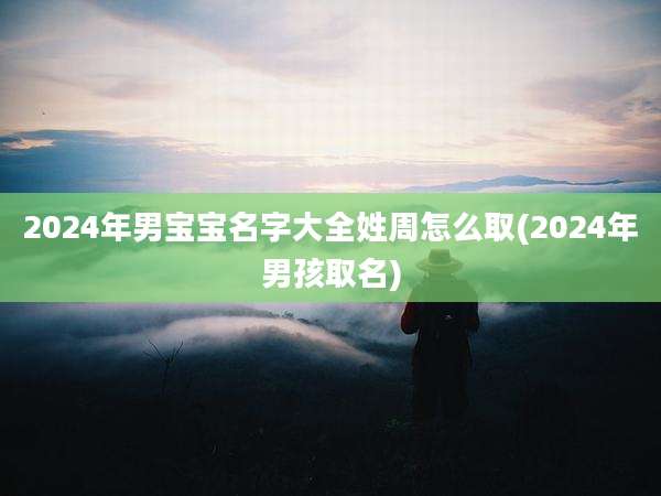 2024年男宝宝名字大全姓周怎么取(2024年男孩取名)