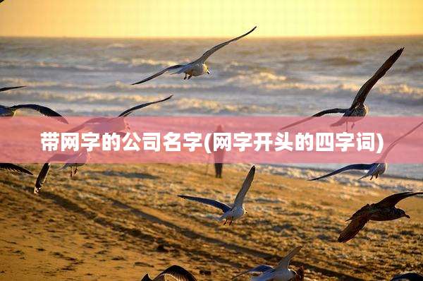 带网字的公司名字(网字开头的四字词)
